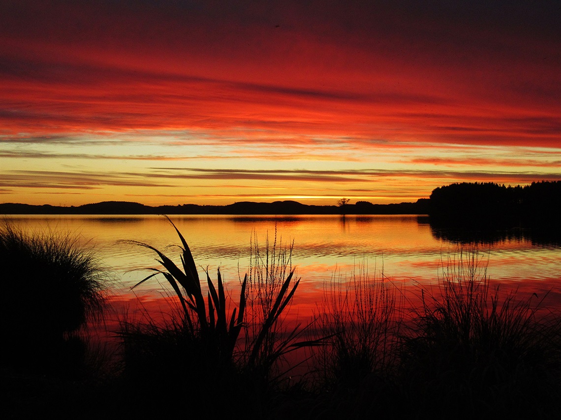 Capture-Your-Horowhenua-Janette-Webb