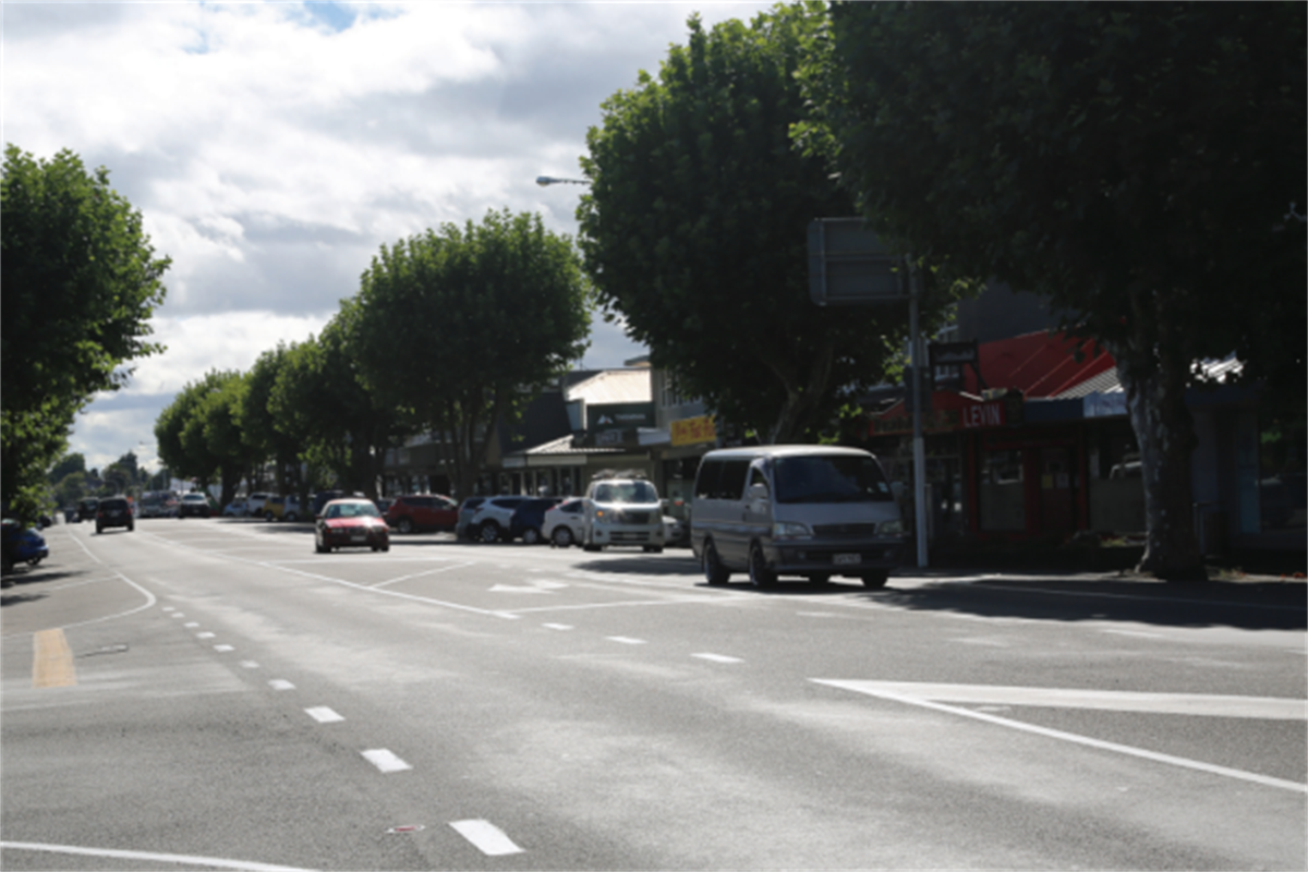 Notified Resource Consent: Notable Plane Trees on Oxford Street, Levin ...