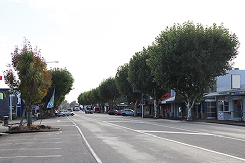 Notified Resource Consent- Notable Plane Trees on Oxford Street Levin.