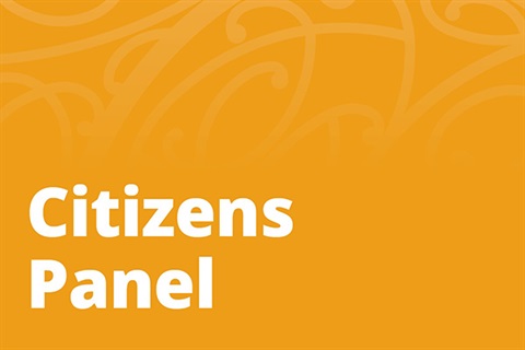 Citizen's Panel Focus Group.