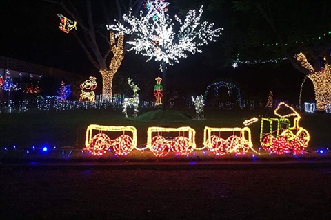 Christmas Avenue of Trees.