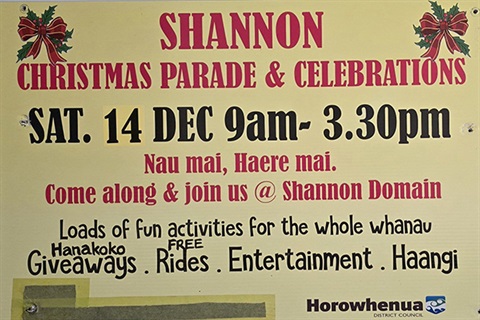 Shannon Christmas Celebrations 2024.