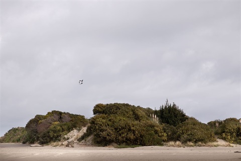 Waikawa Beach.jpg