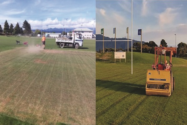 Thatch removal and undersowing in parks.